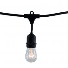 Bulbrite 812312 - 30' STRING LIGHT 12 SOCKETS 30" SPACING E26 BLACK KIT - W/11W S14 CLEAR LAMPS