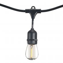 Bulbrite 812313 - 30' STRING LIGHT 12 SOCKETS 30" SPACING E26 BLACK KIT - W/1W PLASTIC LED S14 CLEAR LAMPS