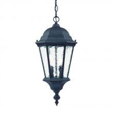 Acclaim Lighting 5516BK - Telfair Collection Hanging Lantern 2-Light Outdoor Matte Black Light Fixture