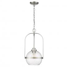 Acclaim Lighting IN10010SN - Devonshire 1-Light Pendant