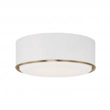 Capital 254831RE - 3 Light Flush