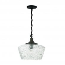 Capital 347611CK - 1 Light Pendant
