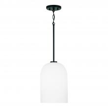 Capital 348811MB - 1 Light Pendant