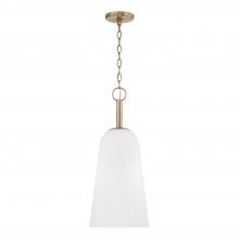 Capital 356911MA - 1 Light Pendant
