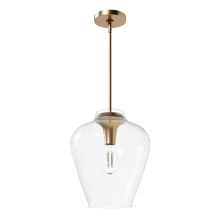 Hunter 49012 - Hunter Vidria Alturas Gold with Clear Glass 1 Light Pendant Ceiling Light Fixture
