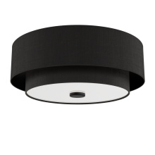 Hunter 48123 - Hunter Brookside Matte Black with Frosted Glass 2 Light Flush Mount Ceiling Light Fixture