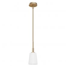 Hunter 19888 - Hunter Nolita Alturas Gold with Cased White Glass 1 Light Pendant Ceiling Light Fixture