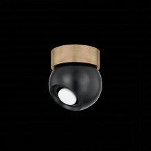 Troy C1406-PBR/SBK - ODIN Flush Mount