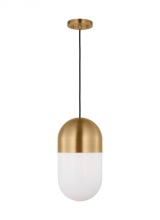 Visual Comfort & Co. Studio Collection DJP1141SB - Medium Pendant