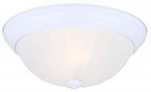 Canarm IFM31111N - IFM311 WH, 2 Light Flush Mount, Pewter Finish