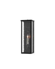 Currey 5500-0037 - Tanzy Small Outdoor Wall Sconce